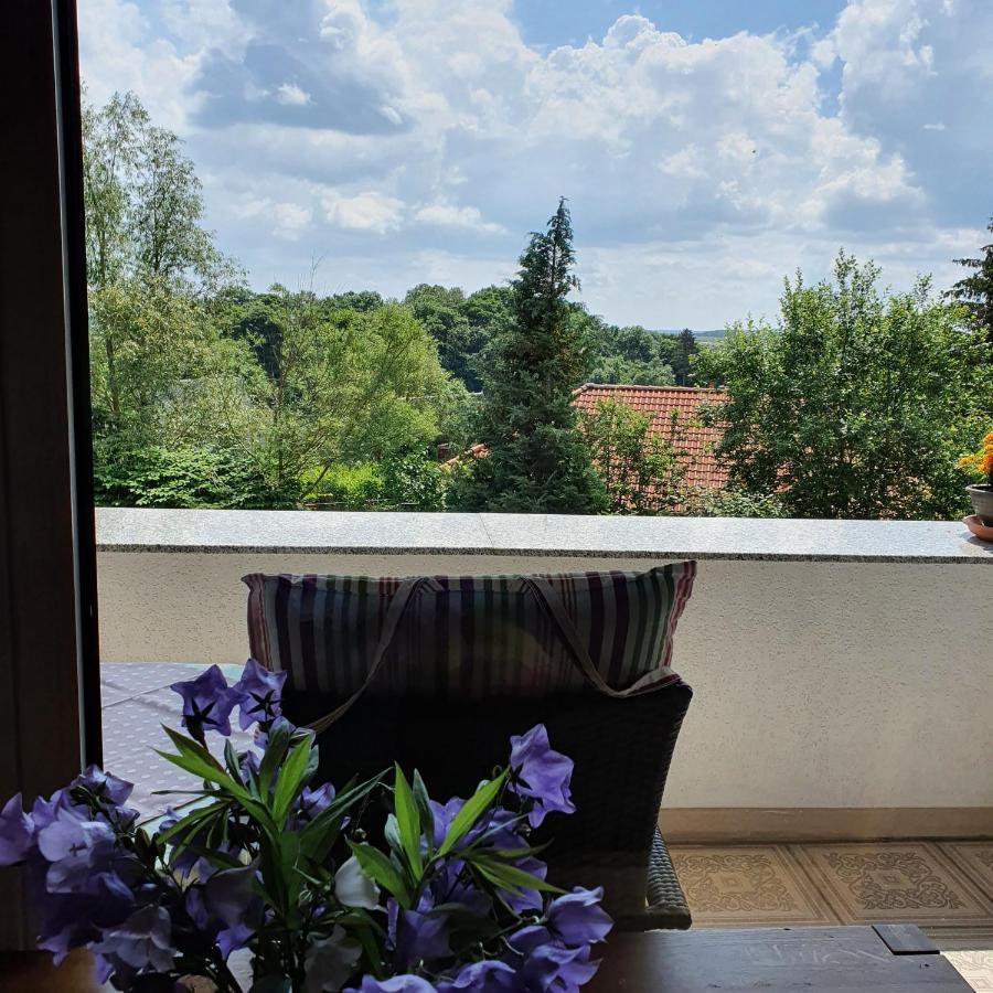 Appartement Schau ins Land à Elbingerode  Extérieur photo